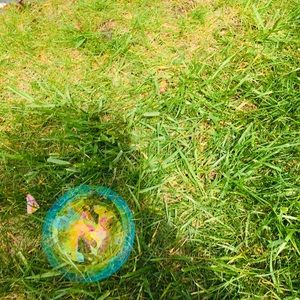 Meet your Posher, Karly